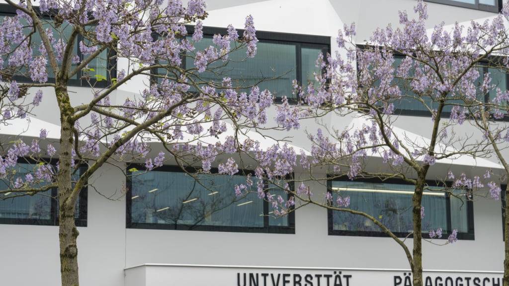 Die Universität Luzern zählte gegenüber dem Vorjahr rund neun Prozent mehr Studierende. (Archivaufnahme)
