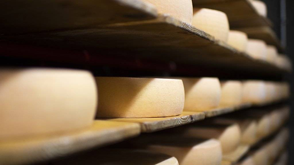 Die US-Regierung will im Streit mit der EU um Subventionen für die Flugzeugbranche notalls etwa Käse aus Europa mit Strafzöllen belegen. (Symbolbild)
