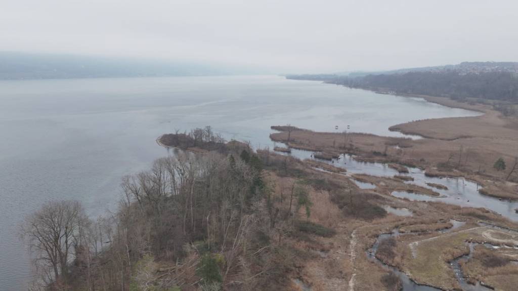 Zoff um Uferschutzpläne am Bielersee