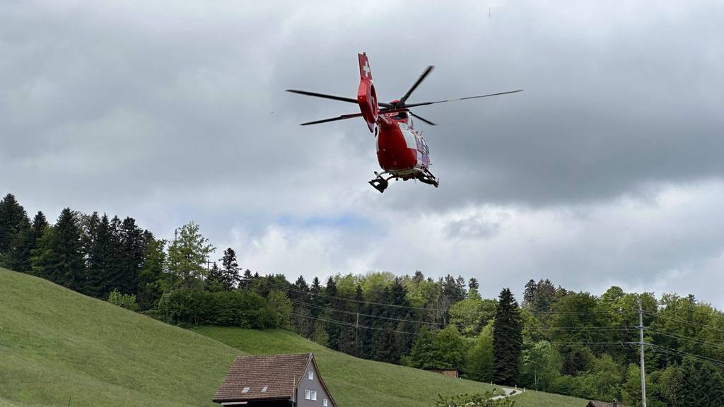 Mehrere Unfälle und versuchter Diebstahl im Kanton Schwyz