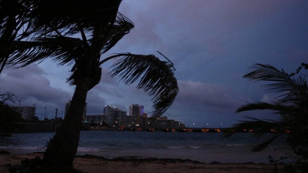 Palmen im Sturm in San Juan auf Puerto Rico - laut Gouverneur Ricardo Rossello ist «Maria» der «schlimmste Hurrikan in der Geschichte von Puerto Rico».