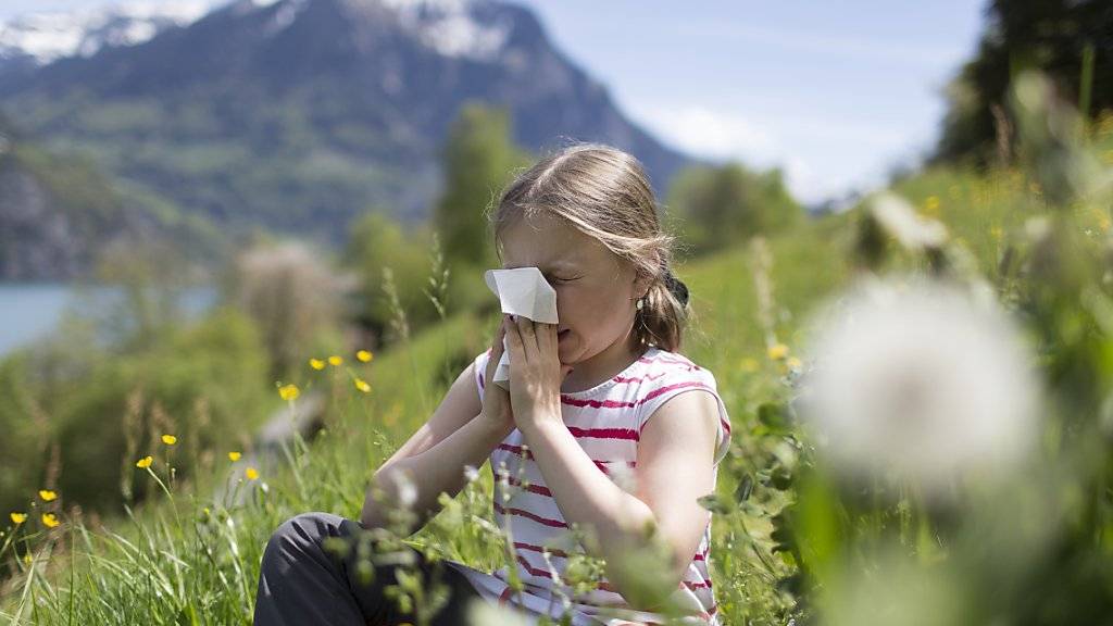 Wer als Kind mit vielen Allergien zu kämpfen hat, ist im Erwachsenenalter anfälliger für chronisch entzündliche Erkrankungen, aber auch für psychische Beschwerden. (Symbolbild)