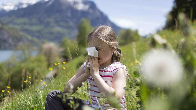 Allergiker anfälliger für psychische Beschwerden