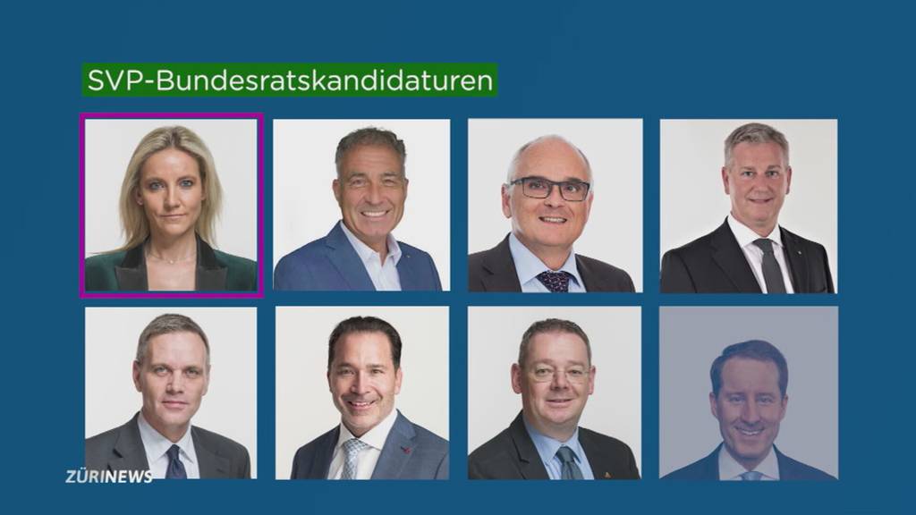 Bundesrat: Frauen und Welsche untervertreten?