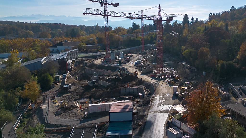 Der Bau der neuen Pantanal-Voliere im Zürcher Zoo schreitet voran.