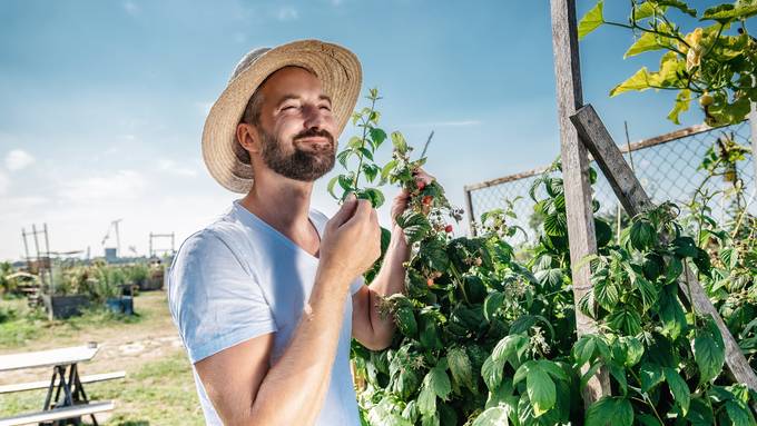 So wird dein grüner Daumen nicht blau