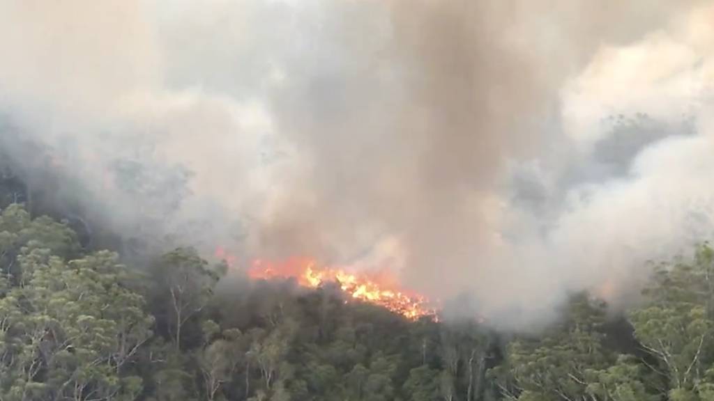 A supplied image obtained on Friday, December 4, 2020, of an aerial screen grab image of the K'gari (Fraser Island) fire captured on Wednesday, December 02, 2020. Tourists have been ordered to stay away from Queensland's world heritage-listed Fraser Island as a massive bushfire continues to test firefighters. (AAP Image/Supplied by QFES) NO ARCHIVING, EDITORIAL USE ONLY