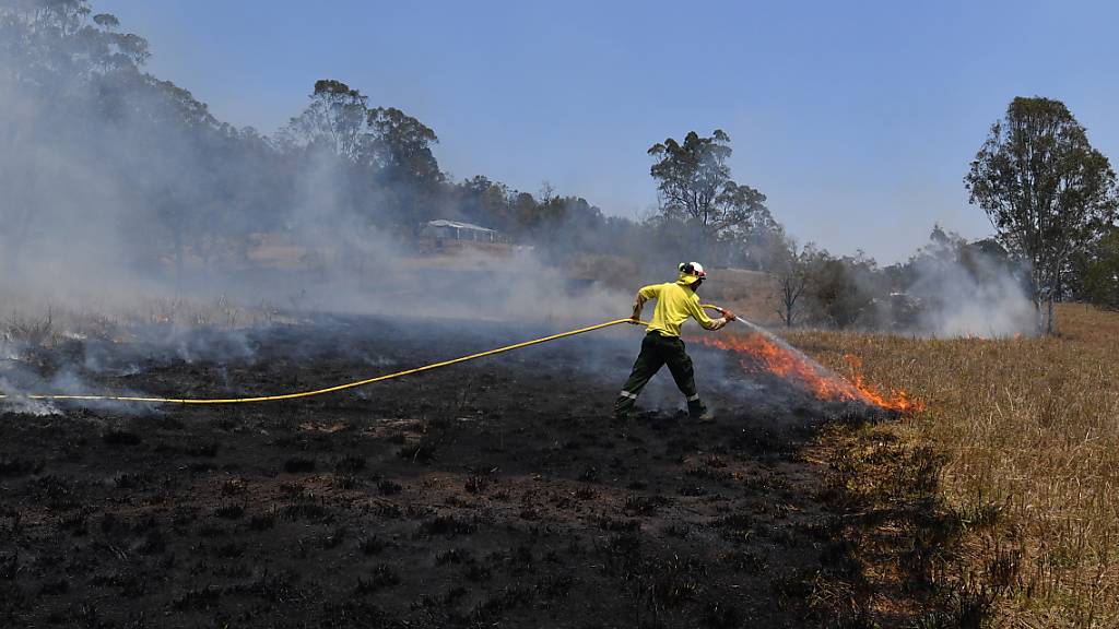 Die Buschbrände in Australien gehen laut Behörden teils auf Brandstiftung zurück.