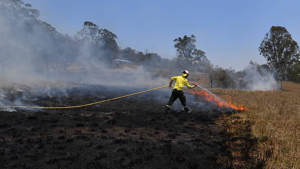 Die Buschbrände in Australien gehen laut Behörden teils auf Brandstiftung zurück.