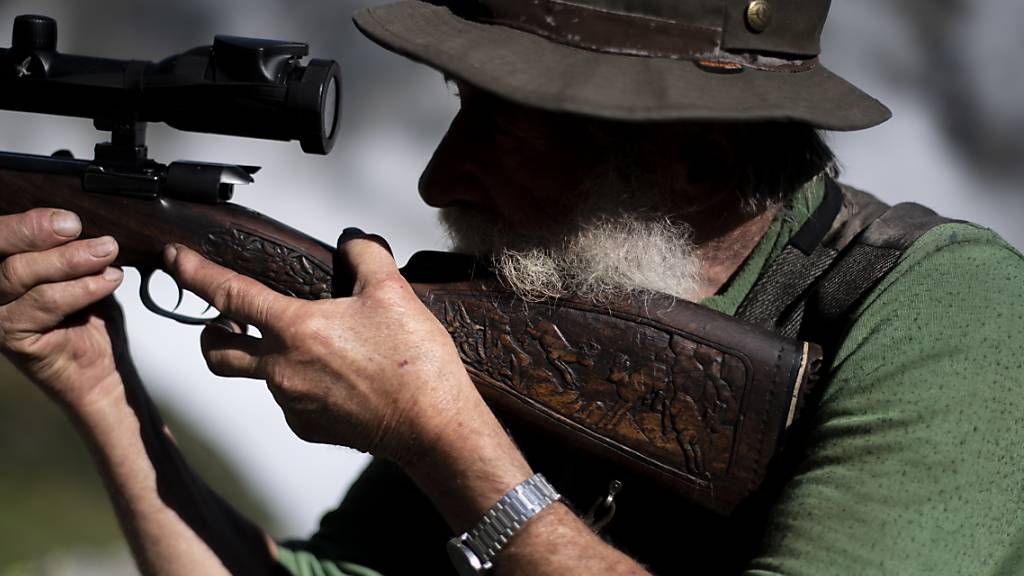 Um die hohen Vorgaben der Jagdverwaltung zu erfüllen, müssen Bündner Jäger auf der Sonderjagd Ende Herbst noch 2218 weibliche Hirsche und deren Kälber schiessen, 297 Rehe sowie 19 Gämsjährlinge.