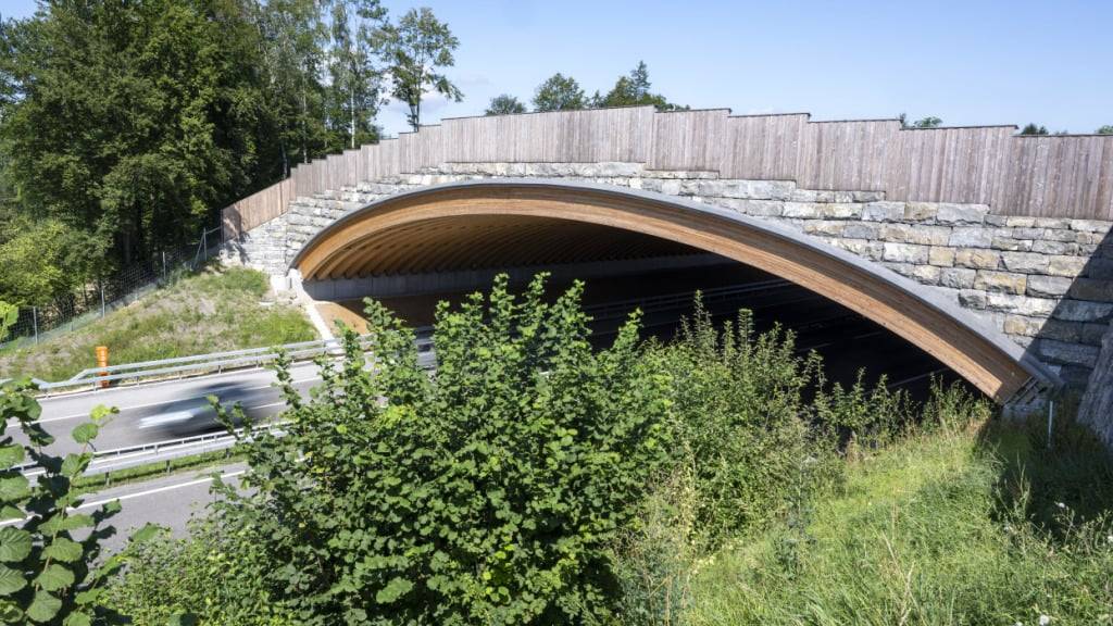 Wildtiere sollen dank Brücken sicher Autobahnen queren können, wie hier in Mühleberg BE. (Archivaufnahme)