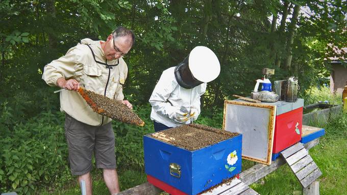 Ausserrhoder Bienen machen Ferien in Arosa