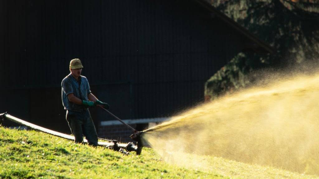 In Dietschwil im Kanton St. Gallen sind 100 Liter Gülle in einen Bach gelangt. (Symbolbild)