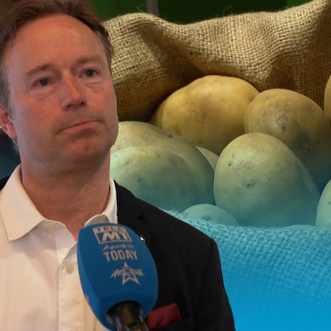 Schlechte Ernte: Mehr ausländische Kartoffeln in der Zweifel-Tüte