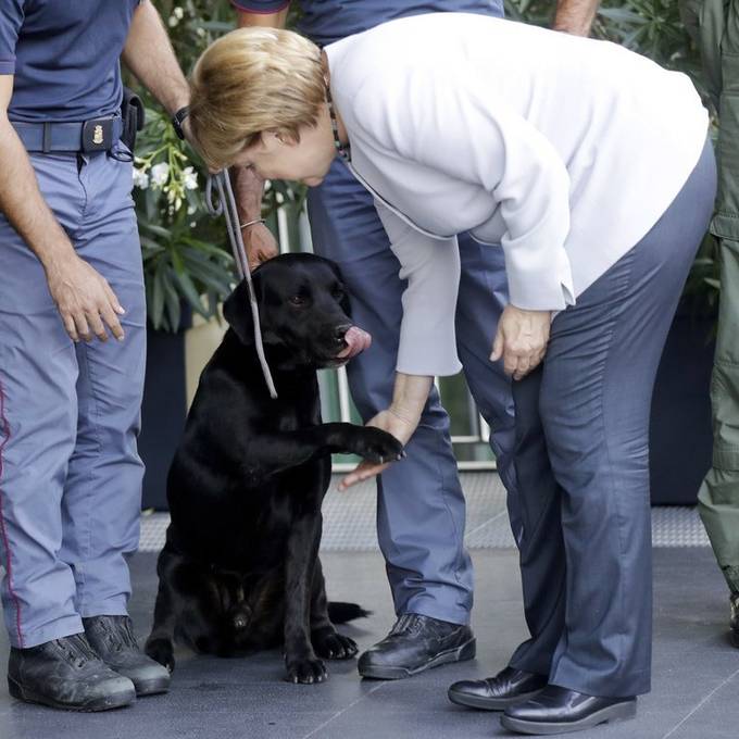 Merkel sagt Italien Unterstützung nach Erdbeben zu