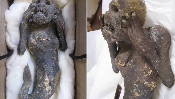 Das steckt hinter der 300 jährigen «Mumien-Meerjungfrau»