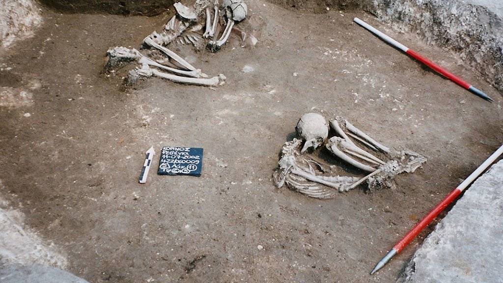 DNA-Analysen zeichnen die Abstammungslinie europäischer Bauern bis in die Ägäis nach. Die Erbinformation stammte unter anderem aus diesen 8500 Jahre alten Knochen, die in Revenia im Norden Griechenlands ausgegraben wurden.