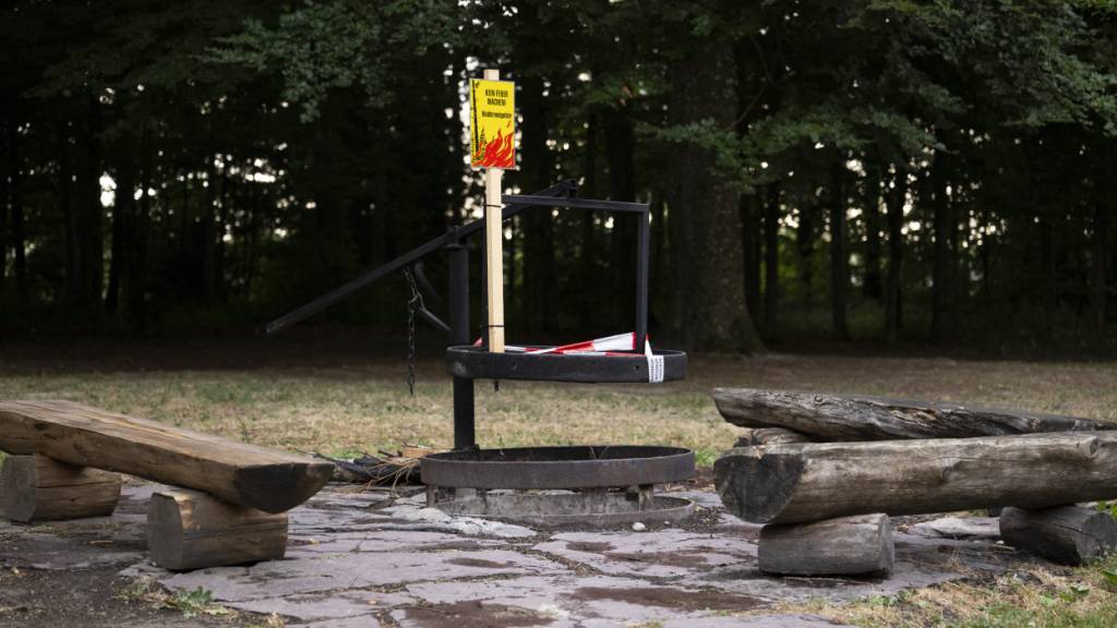 Der Kanton Schaffhausen hat das Feuerverbot im Wald aufgehoben. Wegen des Unwetters vom Freitag warnt er aber vor herabfallenden Ästen. (Archivbild)