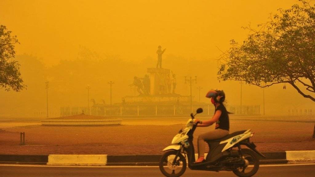 Eine Frau fährt in der indonesischen Provinz Zentral-Kalimantan mit ihrem Motorrad durch von illegalen Brandrodungen ausgelösten Smog. (Archiv)