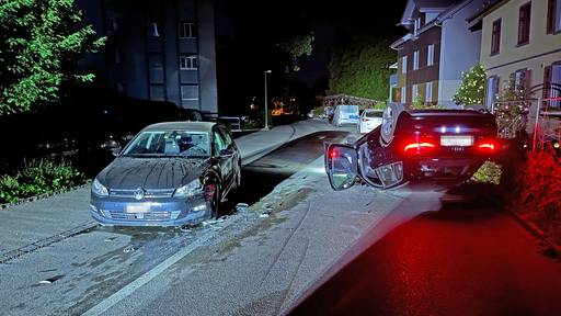 Betrunkener schrottet Audi – und ist nun den Führerschein los