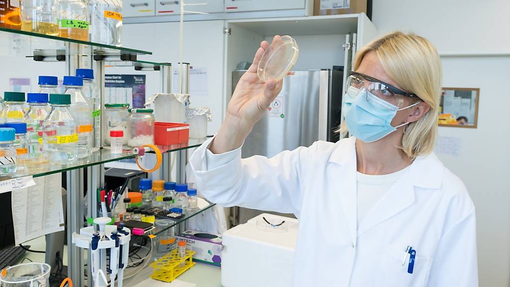 Die ZHAW-Forscherin Rebecca Buller entwickelt gemeinsam mit ihrem Team effiziente plastikfressende Enzyme im Labor.