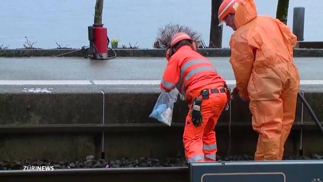 10-Jähriger in Richterswil vom Zug erfasst und getötet