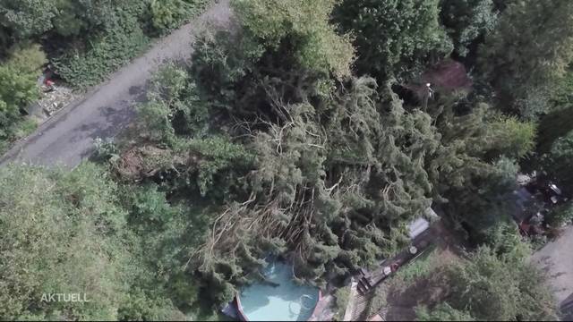 Sturm «Fabienne» fegte über Schweiz