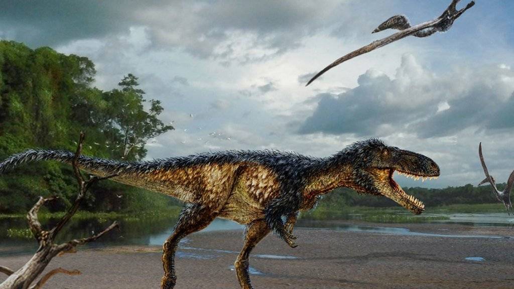 Der T-Rex-Verwandte Timurlengia euotica war nur etwa so gross wie ein Pferd.