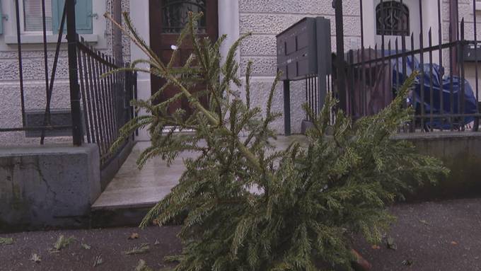Weihnachtsbaum-Entsorgung