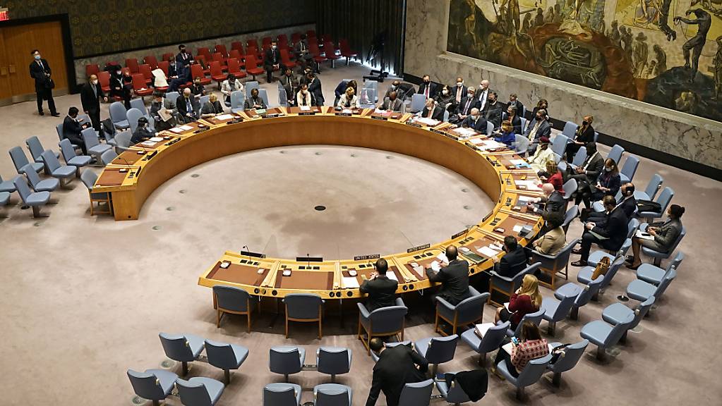 Der Sicherheitsrat der Vereinten Nationen während einer Tagung.