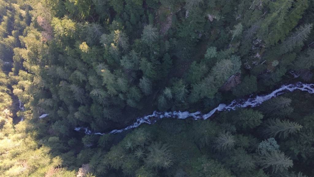 Ein Suchteam unter der Leitung der Kantonspolizei Graubünden fand den Pilzsammler tot in einem Bach.