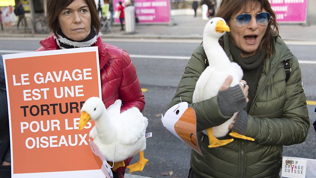 Demonstrantinnen bei einer Anti-Stopfmast-Kundgebung 2018 in Lausanne. (Archivbild)