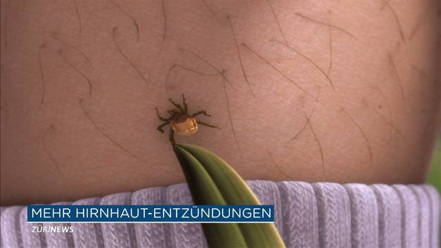 Kurzmeldungen des Tages