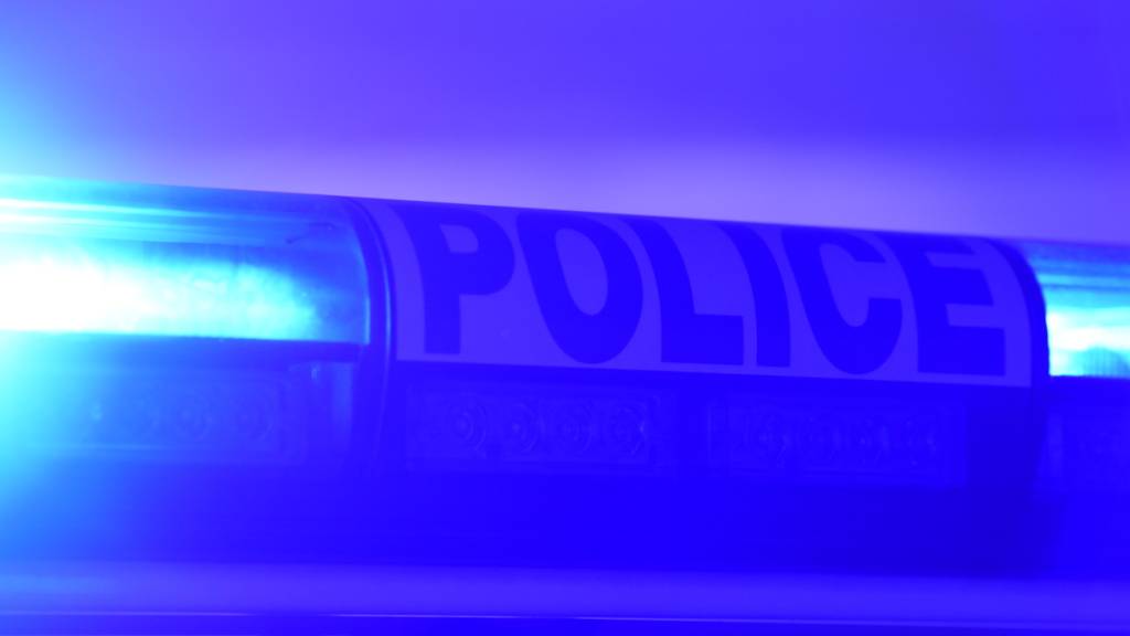 ARCHIV - Das Blaulicht eines französischen Streifenwagens der Police Nationale. Foto: Patrick Seeger/dpa (Symbolbild)