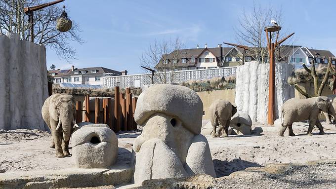 Elefantenanlage «Tembea» im Zoo Basel eröffnet