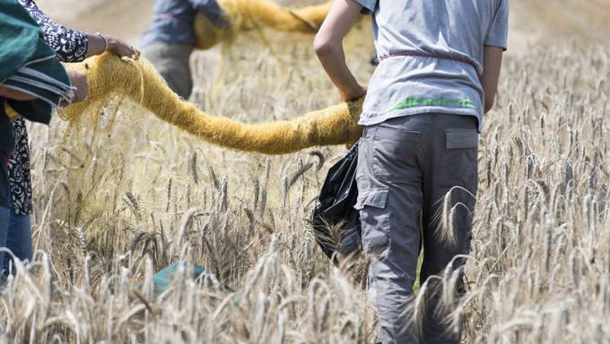 Agroscope-Reform soll auf Eis gelegt werden