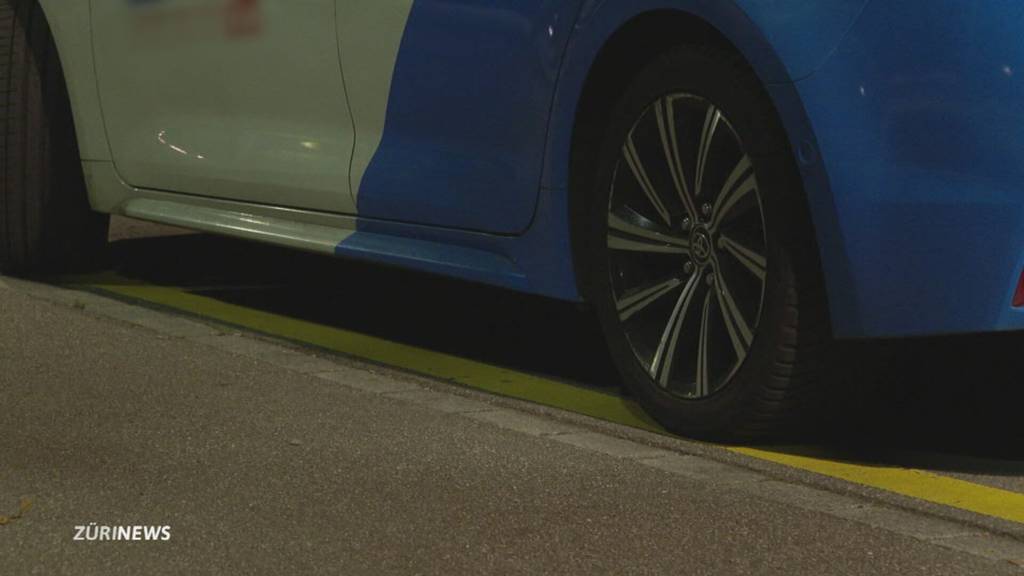 Autofreie Wohnsiedlung: Mieter streiten sich im Leutschenbach