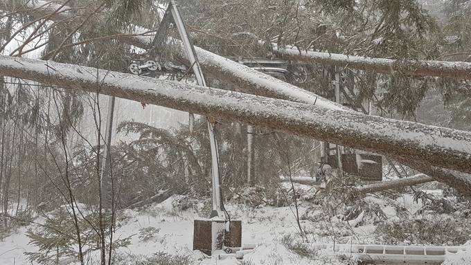 Verwüstung im Skigebiet Wildhaus: «Der Lift ist zerstört»