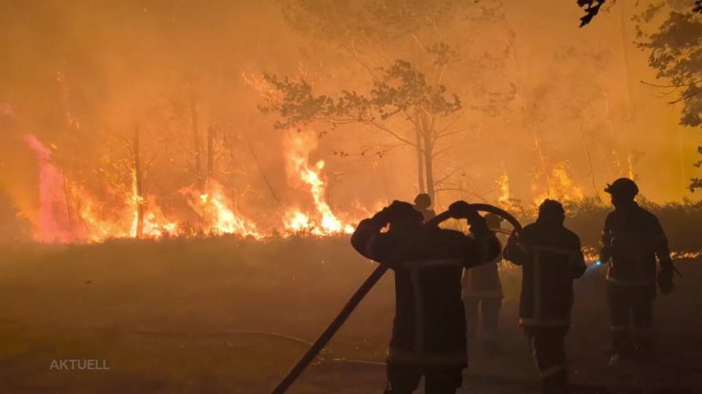 Flammenhölle: Schweiz schickt Feuerwehrmänner nach Frankreich, um Waldbrände zu bekämpfen