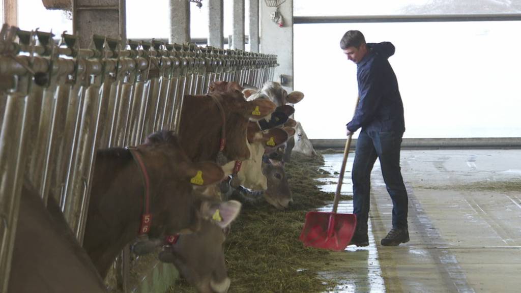 Bauern unter Druck wegen Milchschwemme