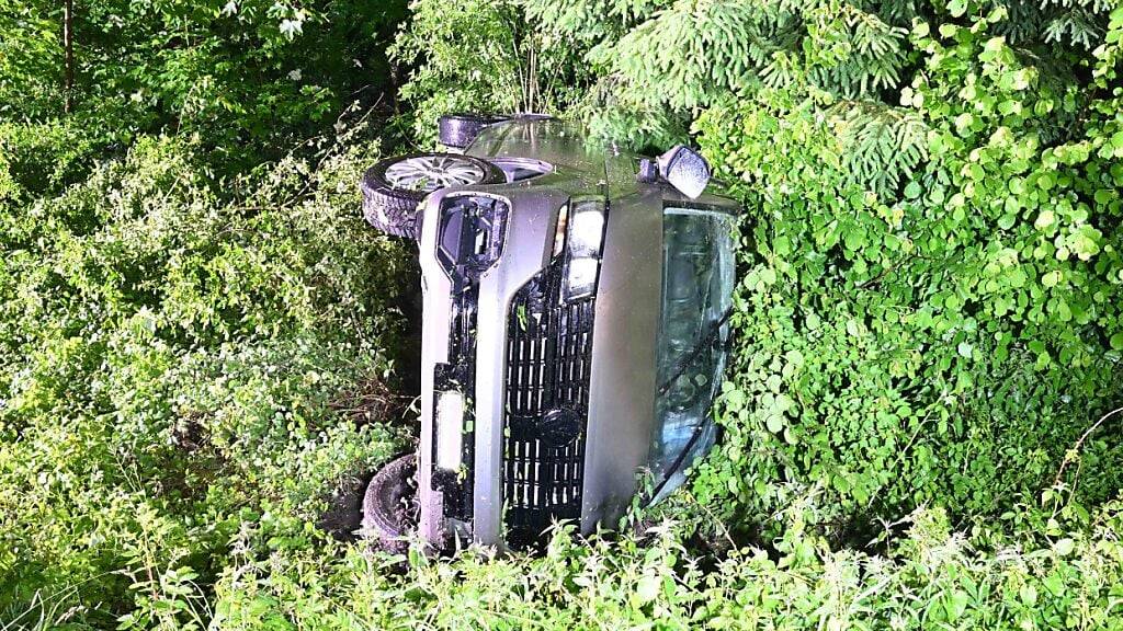 Fahrzeug landet in Rain LU wegen Aquaplanings im Gebüsch