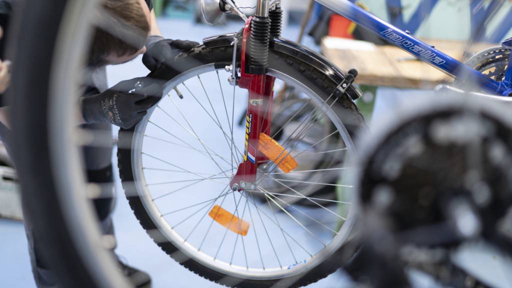 Beim Recycling holt Velafrica 14 Kilo Metall aus einem Velo heraus