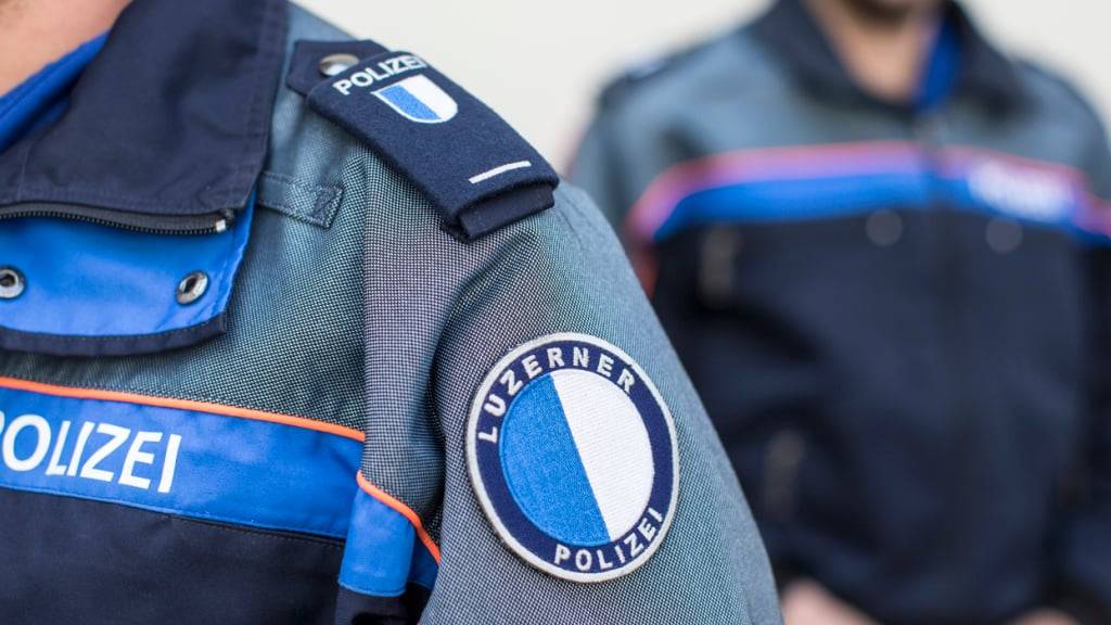 Die Luzerner Polizei sucht die Person, die den Lieferwagen lenkte, der am Montagabend in Littau einen Hund überfuhr. (Symbolbild)