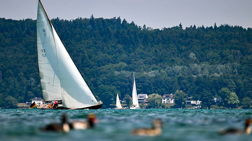 Segel- und Ruderboote trifft man auf dem Bodensee immer wieder an. Foto: Felix Kästle/dpa