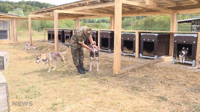 Nachmieter für Huskyfarm