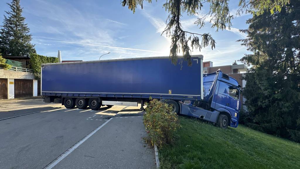 Lastwagenlenker will wenden und bleibt in Wiese stecken