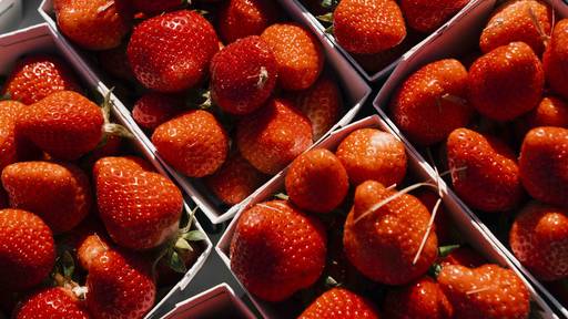 So hältst du deine Erdbeeren frisch