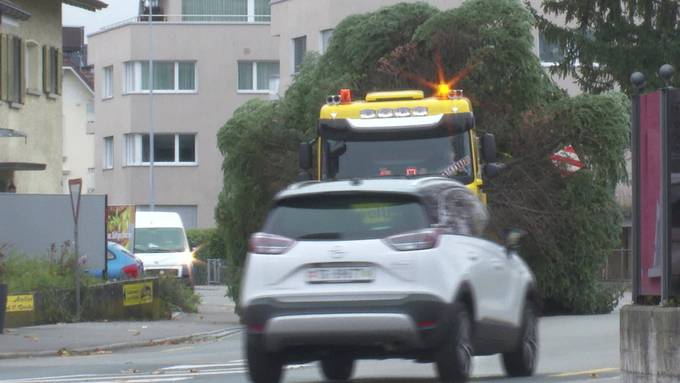 Spezialtransport: XXL-Christbaum unterwegs nach Romanshorn