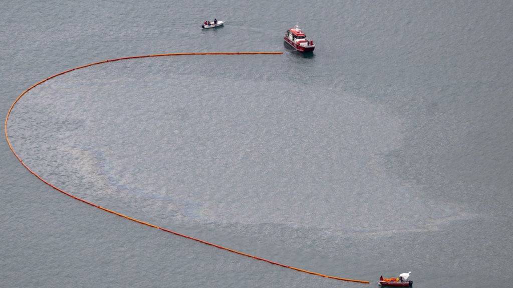 Die Feuerwehr des Kanton Luzern errichtete am 28. Juli eine Ölsperre, nachdem ein Kleinflugzeug zwischen dem Dorf Kehrsiten NW und Kastanienbaum LU in den Vierwaldstättersee gestürzt war. (Archivbild)
