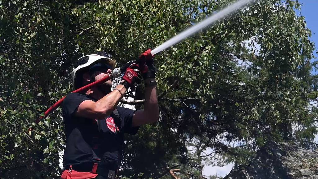 Feuerwehr trainiert Waldbrandbekämpfung in Eyholz